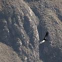 Peru 0835